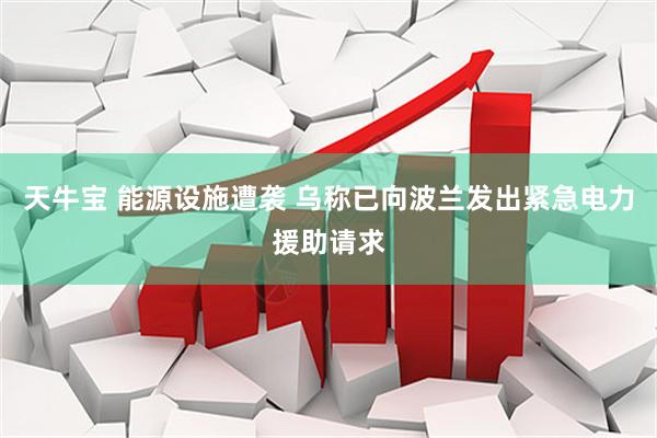 天牛宝 能源设施遭袭 乌称已向波兰发出紧急电力援助请求