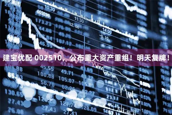 建宝优配 002510，公布重大资产重组！明天复牌！