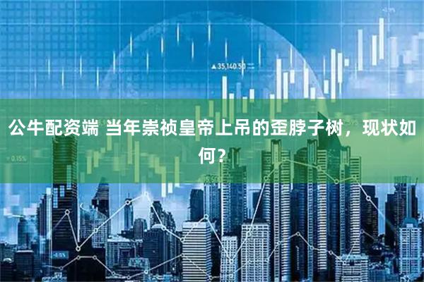 公牛配资端 当年崇祯皇帝上吊的歪脖子树，现状如何？